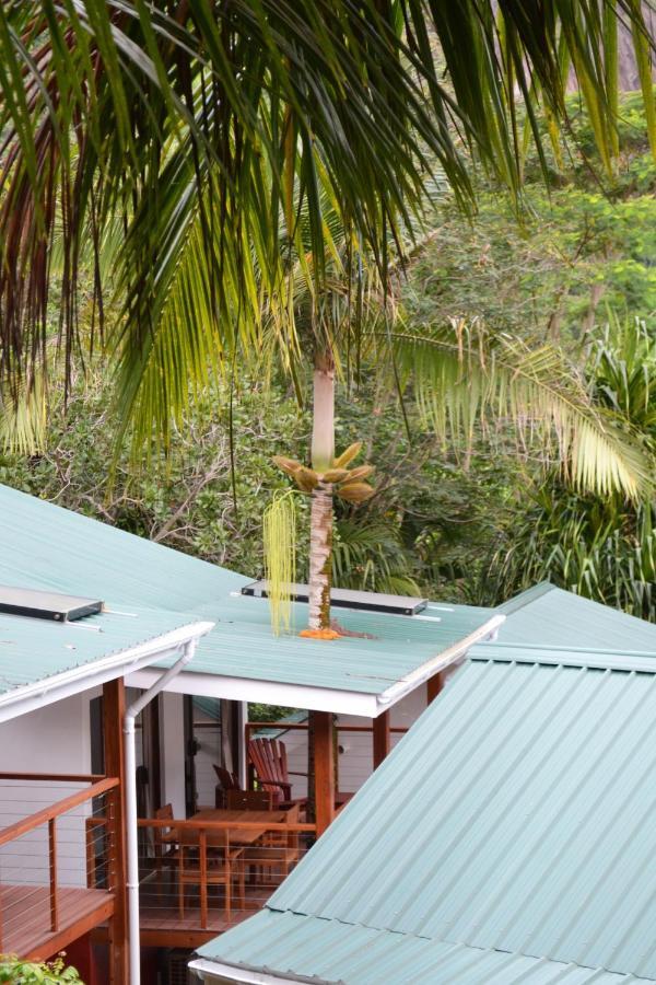 Cashew Nut Grove Chalets Port Glaud Extérieur photo
