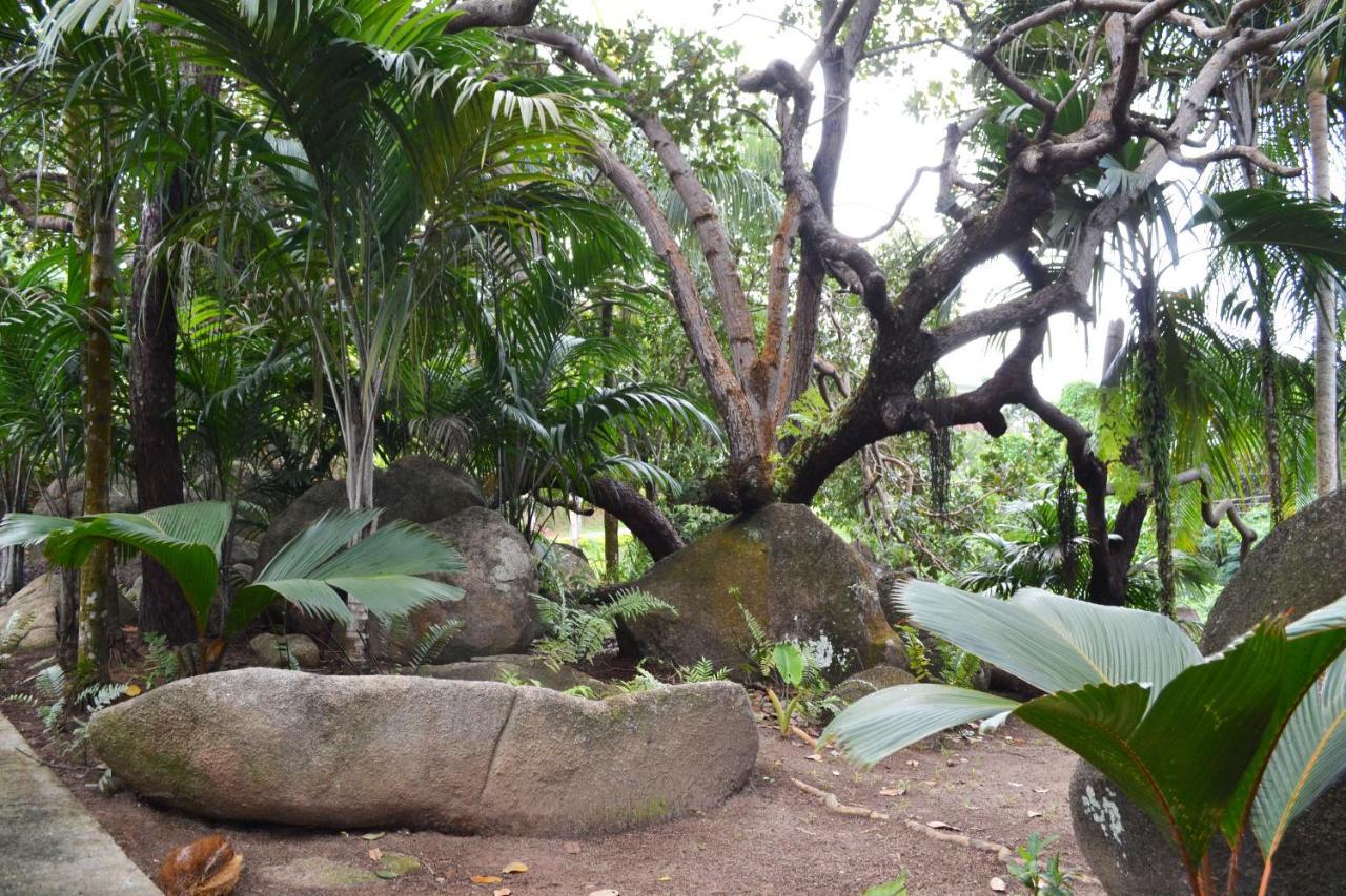 Cashew Nut Grove Chalets Port Glaud Extérieur photo